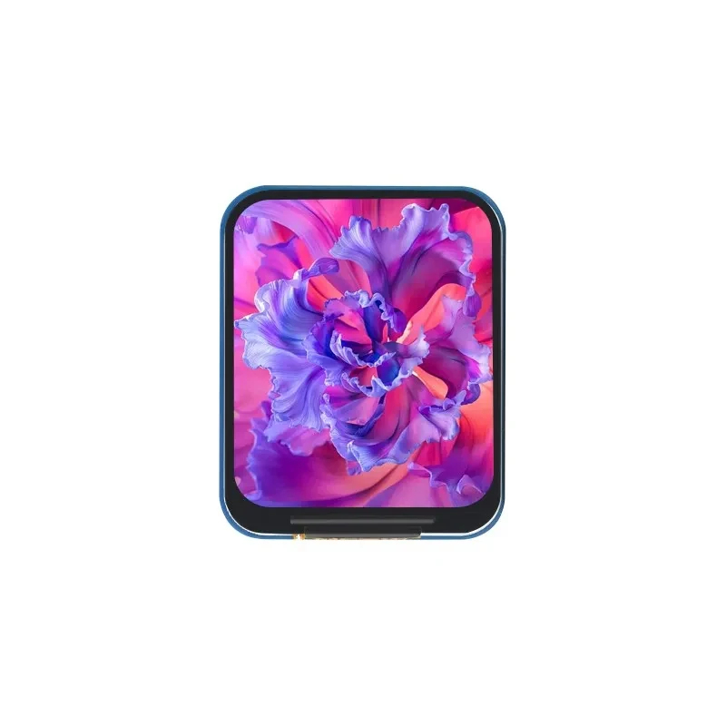 1.69 Inch IPS LCD Module ST778 - огляд і ціна Raspberry Pi Zero